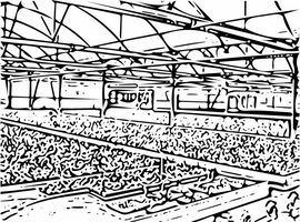 Boceto de riego por aspersión