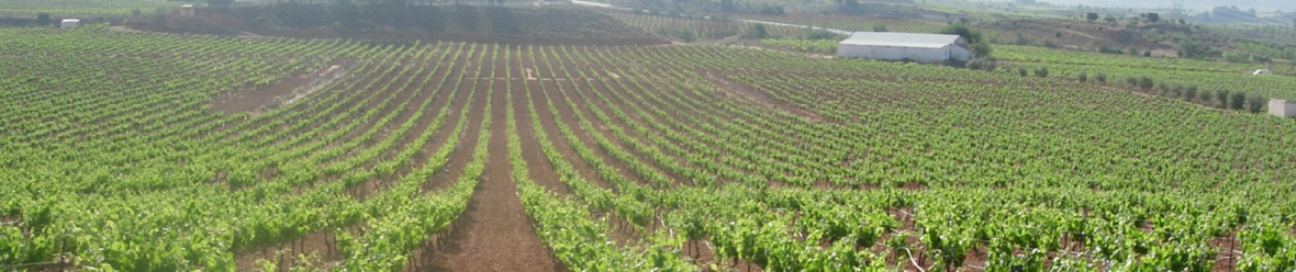 sistema de riego para campo